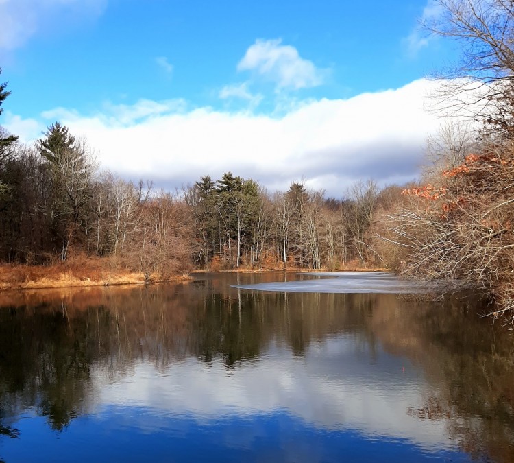 twin-lakes-county-park-photo
